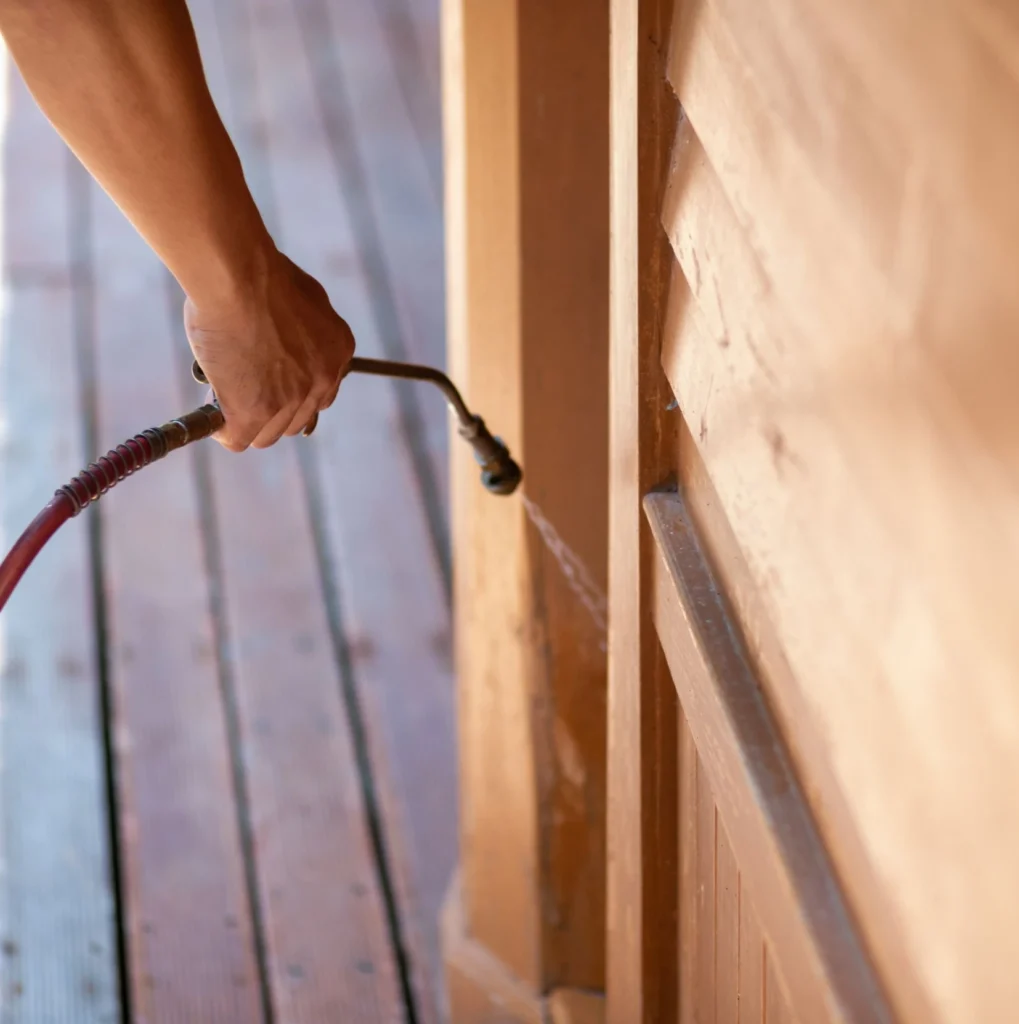 Trusted Pest Control - Hamburg Pest Control Pros | Hamburg, NY | 716-442-8002